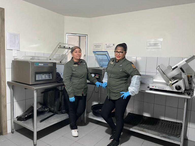 WhatsApp Image 2025-12-12 at 15.04.27 (1)