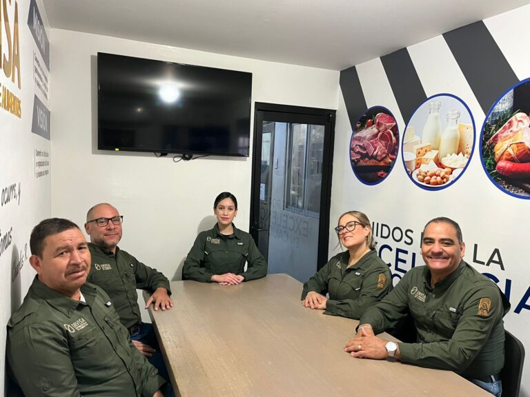 WhatsApp Image 2025-12-12 at 15.04.27